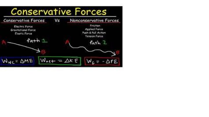 A Conservative Force With Unwavering Principles