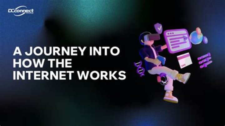 A Journey Into Internet Culture