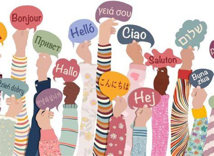 A Journey Into Linguistic Nonsense And Human Absurdity