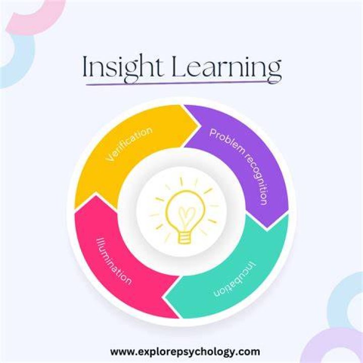 A Journey Of Experience And Insight