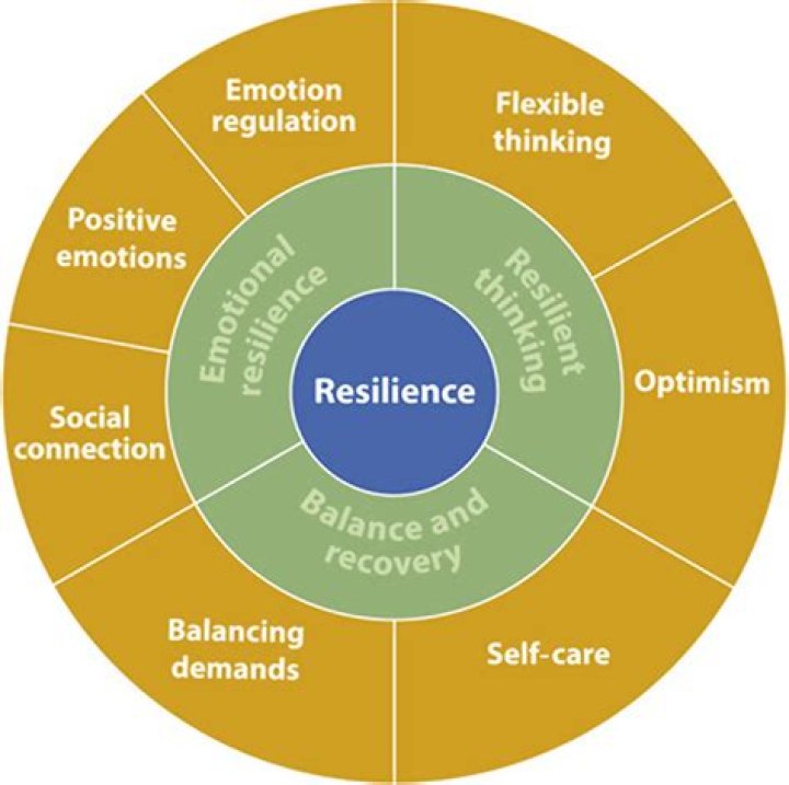 A Journey Of Success, Social Impact, And Resilience