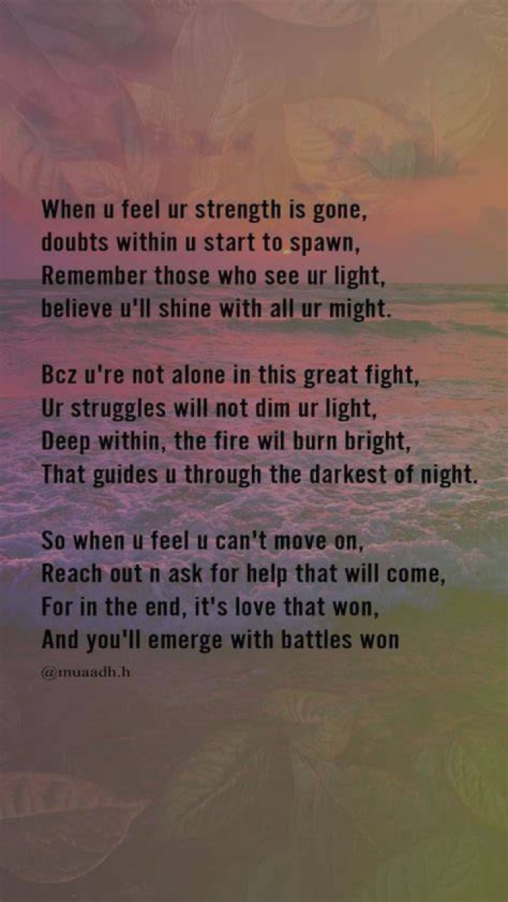 A Journey Of Triumphs, Struggles, And The Human Spirit