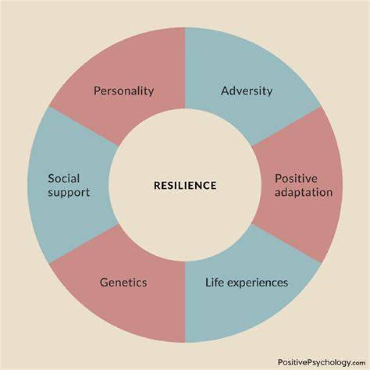 A Tale Of Resilience And Social Impact