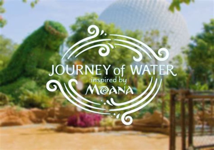 Adriana Durst's Journey Of Discovery