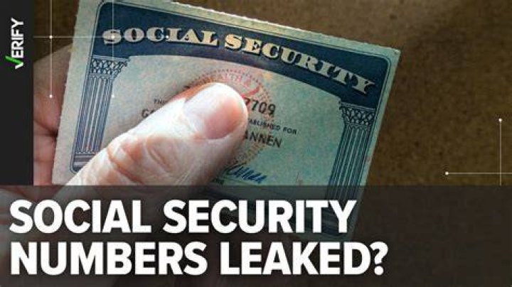 Anna Delveys birthday afterparty required signed NDAs, social security numbers