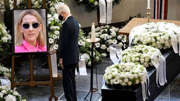 Celine Dion Funeral 2024: Photos, Videos, And Tributes