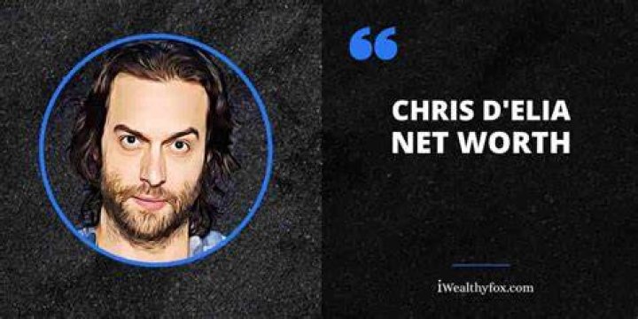 Chris DElia Net Worth How Much is Elia Worth?