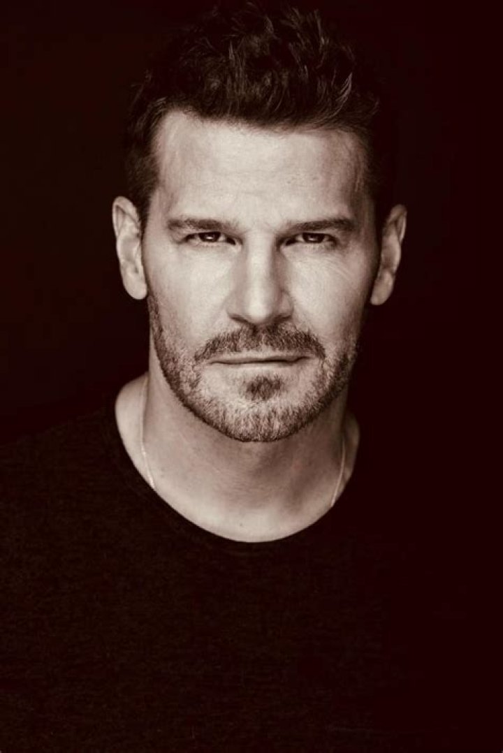 David Boreanaz Height: A Comprehensive Look at the Actor's Stature and Career