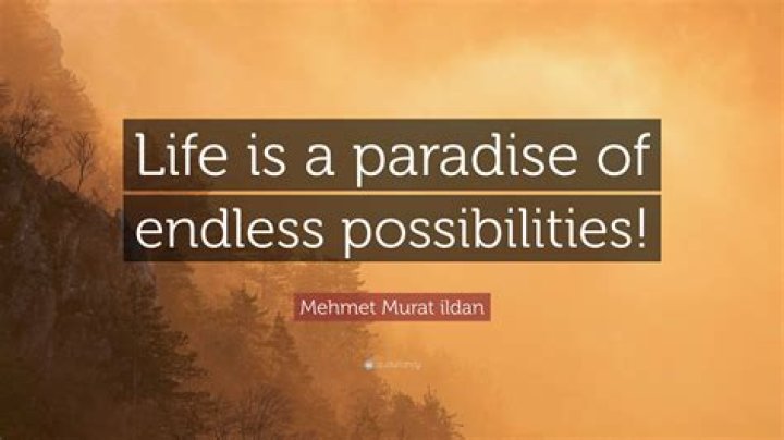 Delve Into A World Of Endless Possibilities