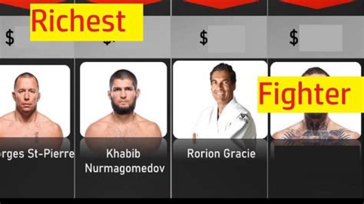 Discover The Top 30 Richest Fighters