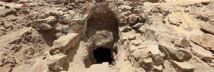 Discoveries And Insights For The Saprol14 Niche