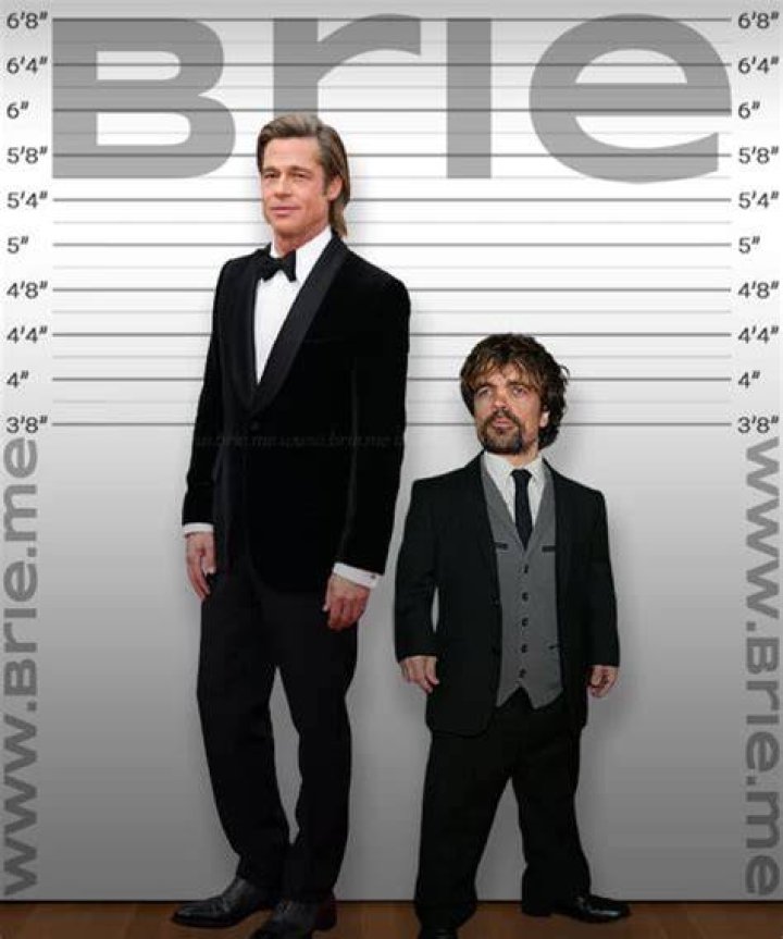 Discovering The Truth Behind Brad Pitt Height 5 9