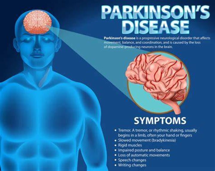 Does Liza Minnelli Have Parkinsons? Health Problems & Illness -Details To Know |