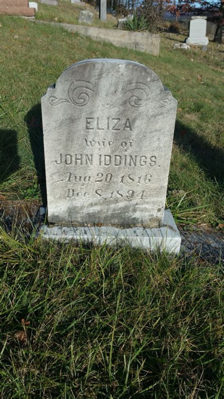 Eliza Hutton Today: A Comprehensive Overview of Her Life and Career