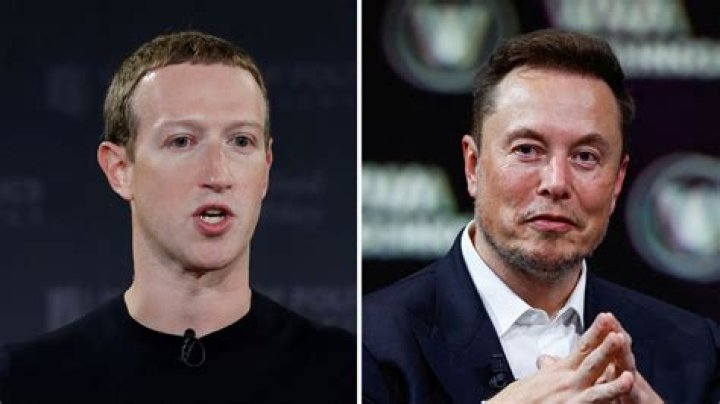 Elon Musk Says It's Mark Zuckerberg's Fault MMA Fight Didn't Happen