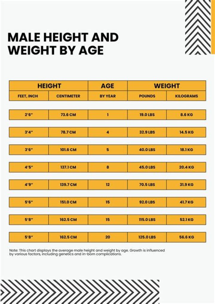 Exploring His Height, Weight, Net Worth, And Age
