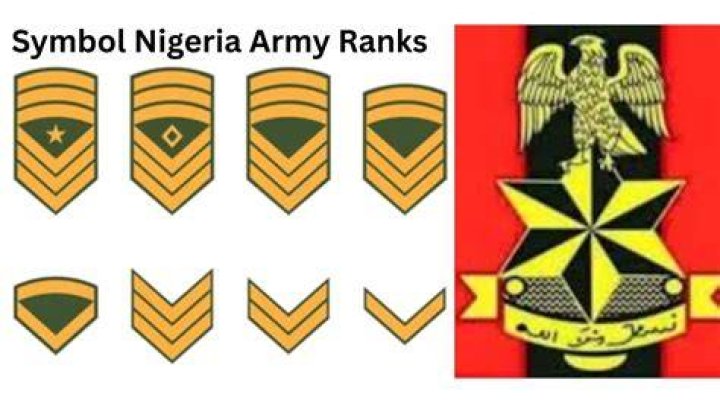 Exploring Nigeria Army Ranks And Symbols