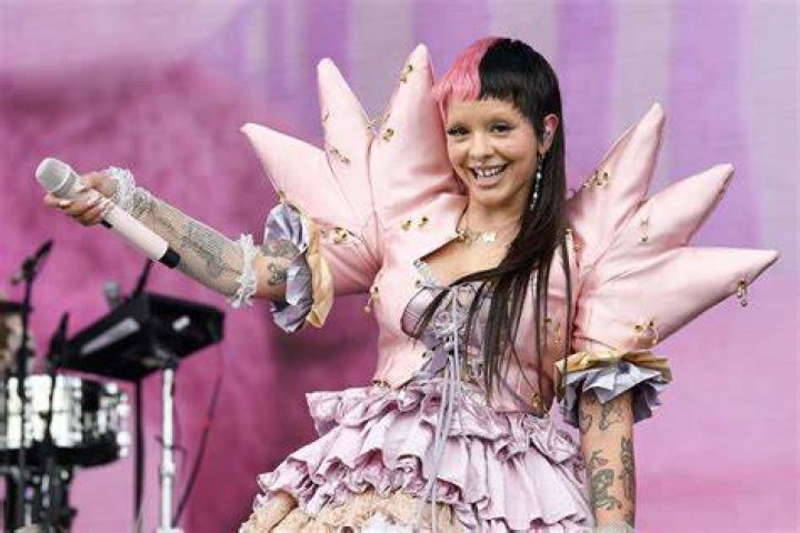 Exploring The Anatomy Of "Melanie Martinez Fat"