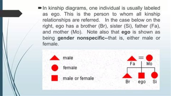 Exploring The Kinship Conundrum Is Aj Dillon Related