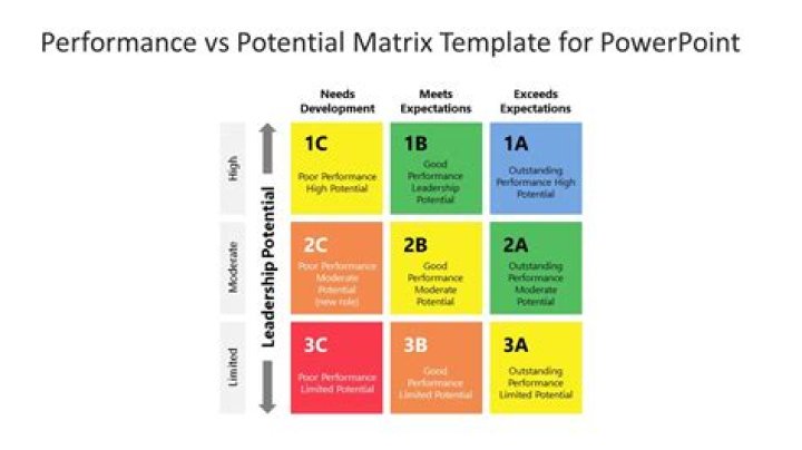 Exploring Value, Performance, and Future Potential