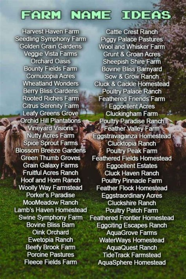 Finding The Perfect Farms Name For Your Agricultural Business