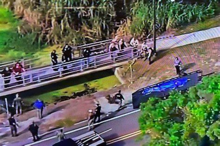 Florida Deputies Identify Suspect Gator in Tragic Sabrina Peckham Incident