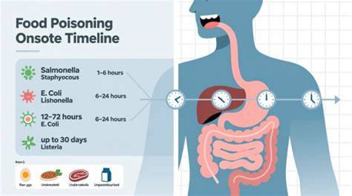 Food Poisoning And Uber Eats Insights Revealed