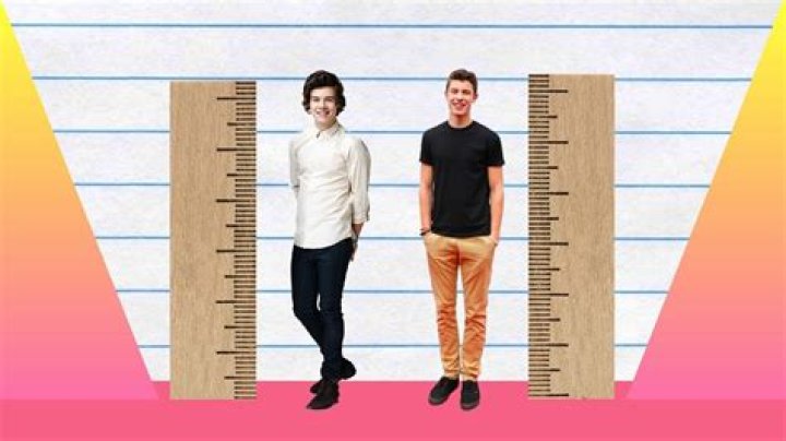 Harry Styles Height