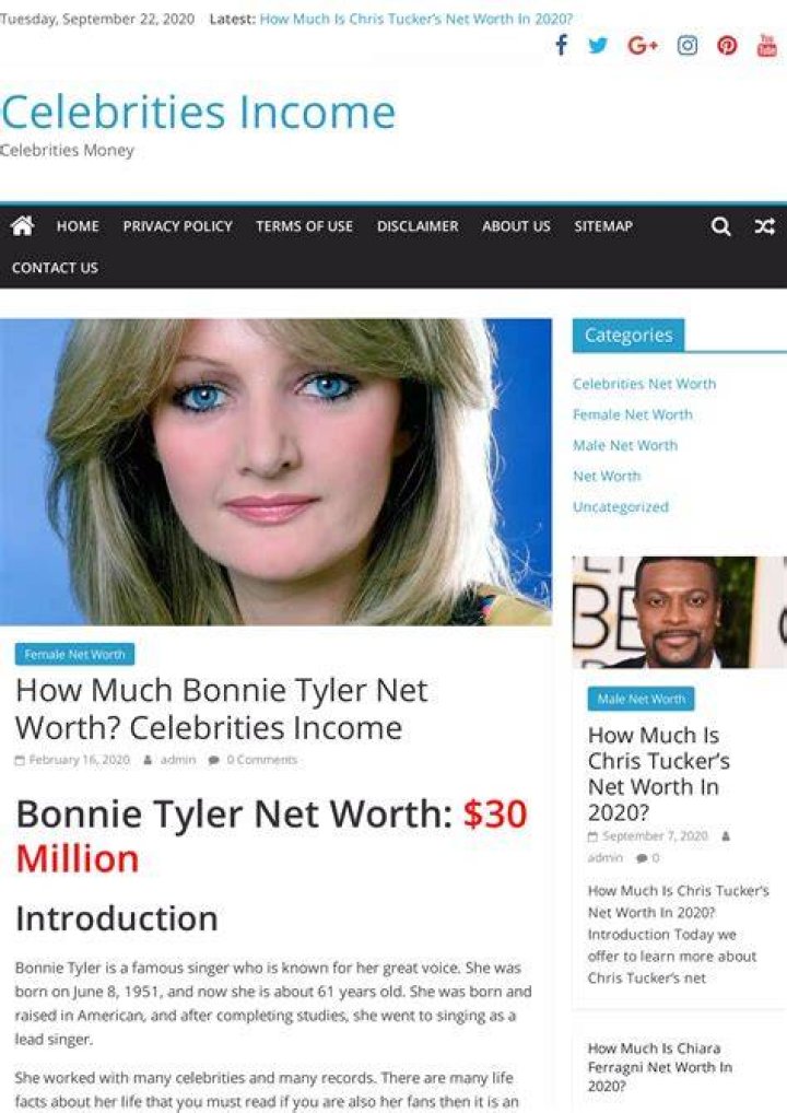 How Much Is Bonnie Tyler Worth?