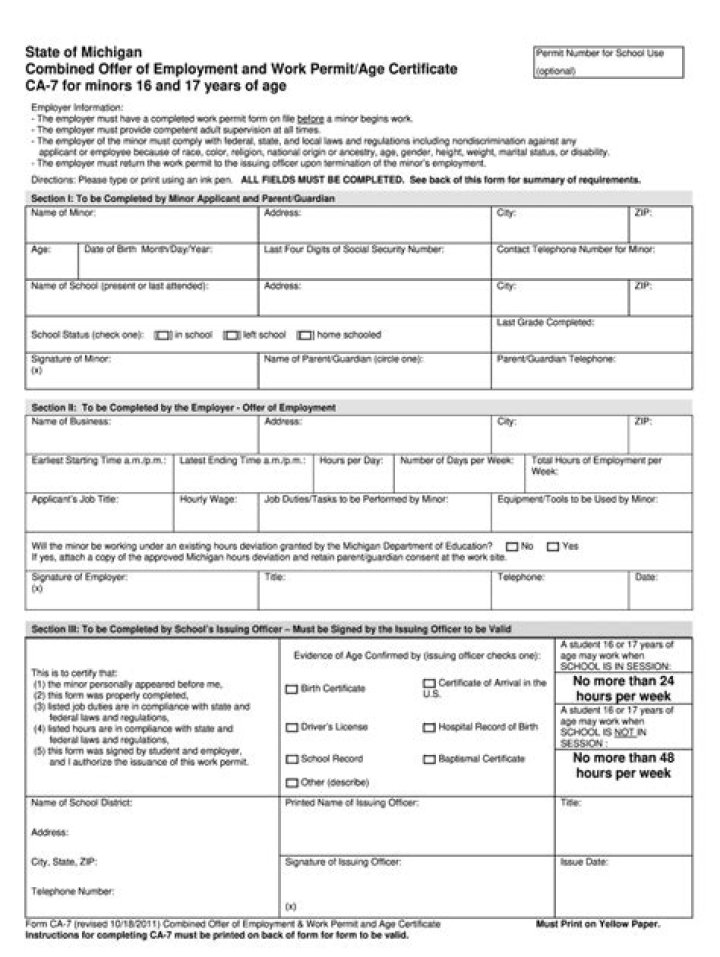 How to Get a Work Permit in Michigan? |