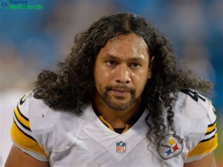 How Troy Polamalu Built His $40 Million Net Worth