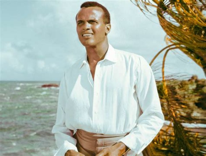 Is Halle Berry Related To Harry Belafonte