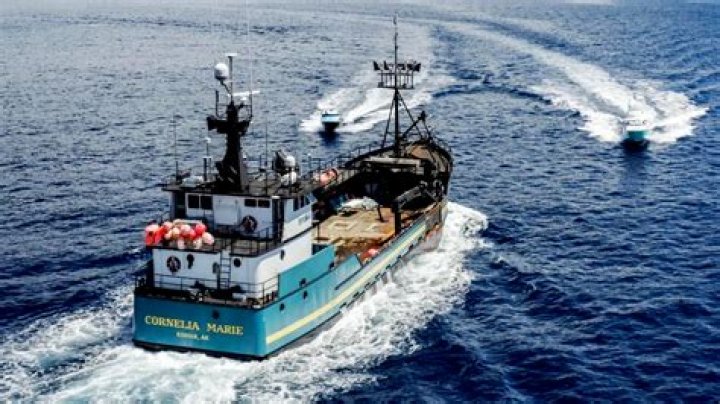 Is the Cornelia Marie still on Deadliest Catch and what happened to its captain?