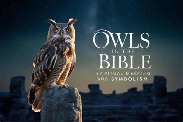 Is there any special meaning/symbolism to owls in the Bible?