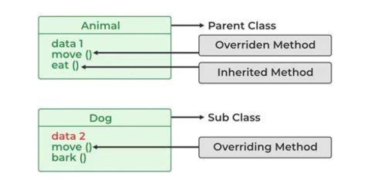 Java Override Static Method: Unleashing Flexibility And Reusability