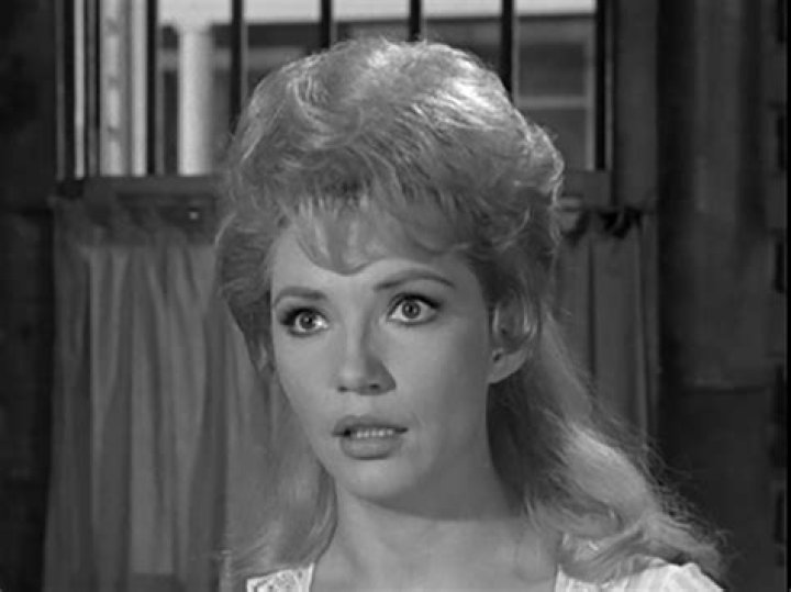 Jenny Lee Arness: The Life and Legacy of a Hollywood Star