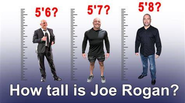 Joe Rogan's Height: Unraveling The Enigma
