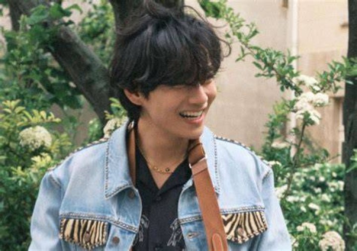 Kim Taehyung Net Worth ·