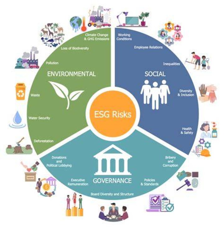 Net Worth, Wiki, Age, And Social Impact