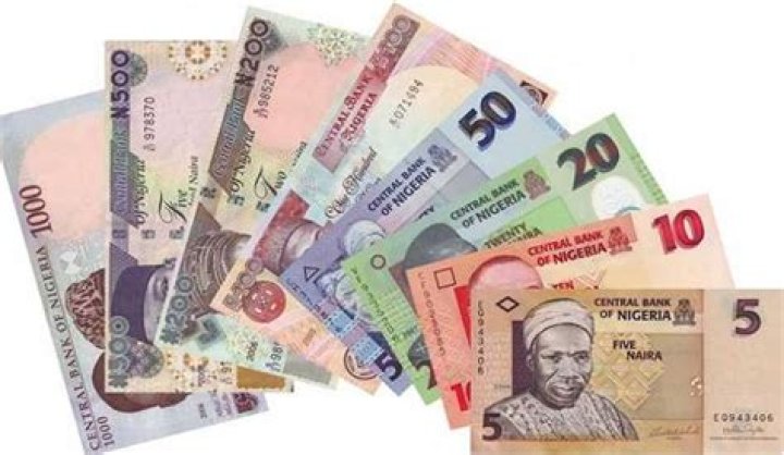 Nigeria Naira Symbol, Sign and History