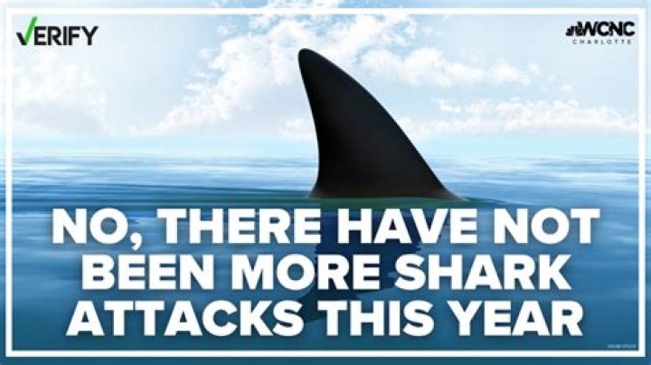 Shark Attacks At Rehoboth Beach