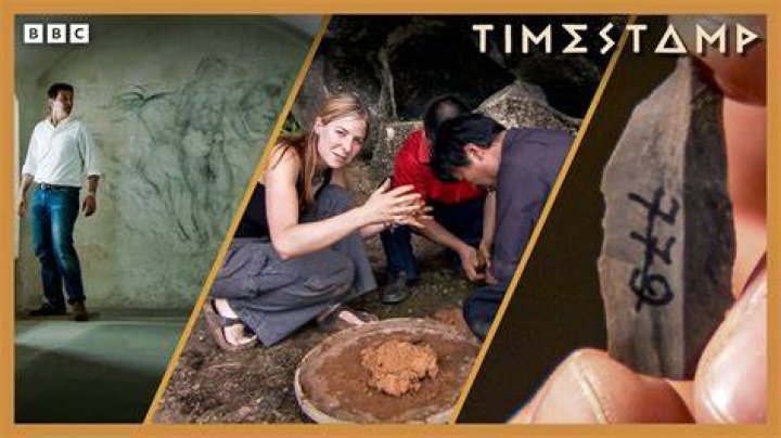 Surprising Discoveries And Heartwarming Insights