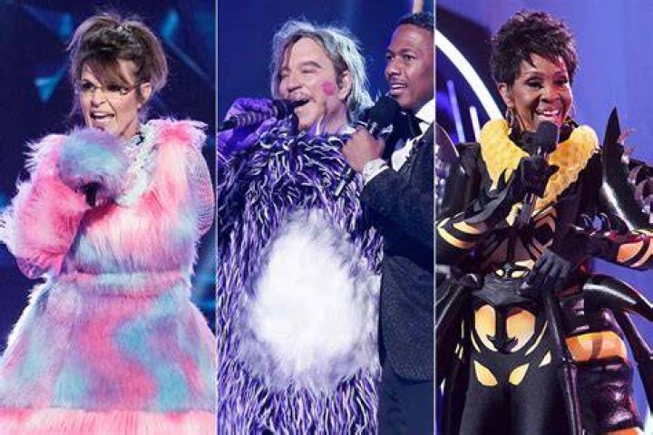 The Masked Singer Reveals Identity of the Hawk: Heres the Celebrity Under the Costume