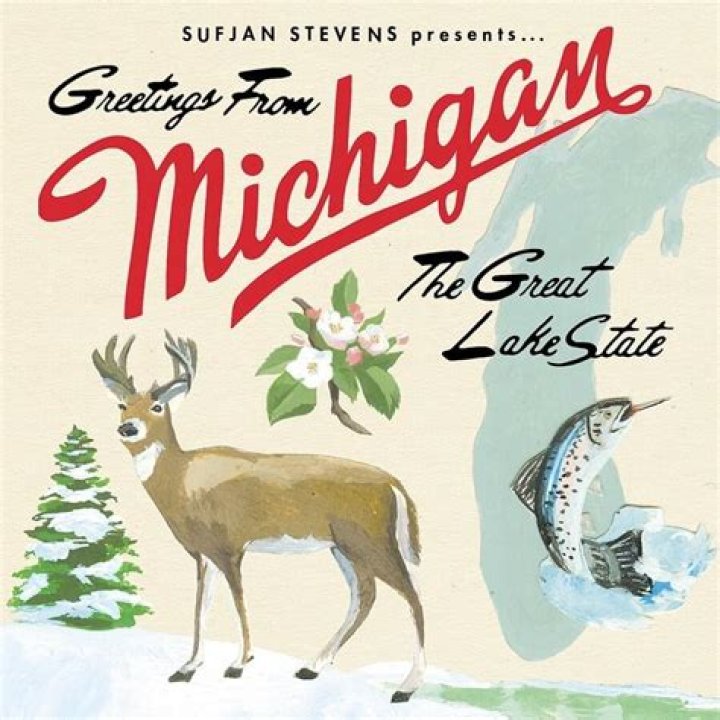 The Meaning Behind The Song: For the Widows in Paradise; for the Fatherless in Ypsilanti by Sufjan S