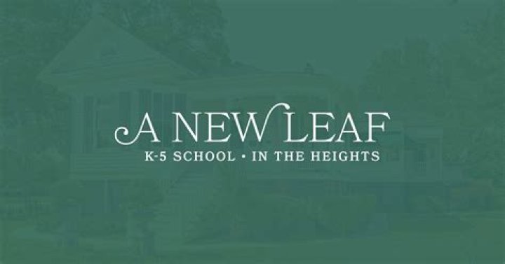 Uncover The Secrets Of "New Leaf Town Names" And Unleash Your Creativity