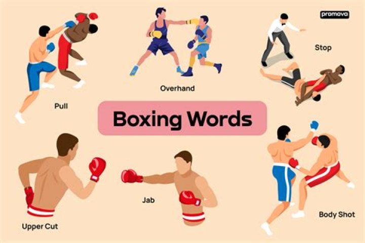 Uncovering Height's Impact In Boxing