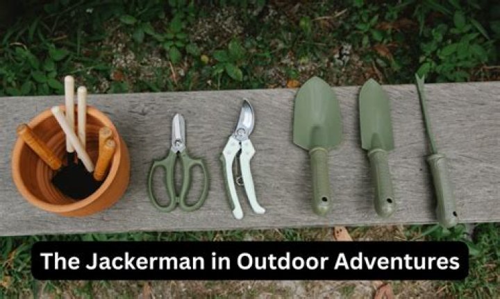 Understanding Jackerman: A Comprehensive Guide