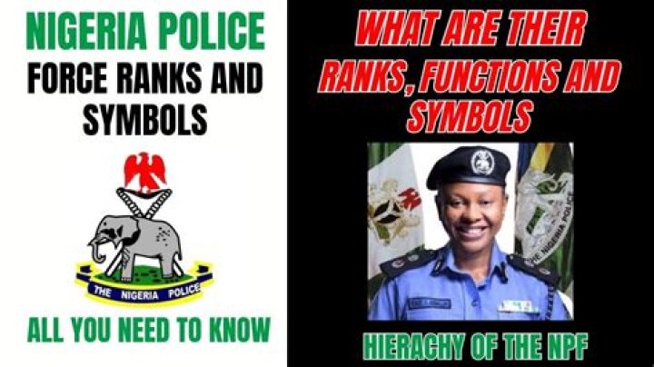 Understanding Police Ranks in Nigeria: A Comprehensive Guide