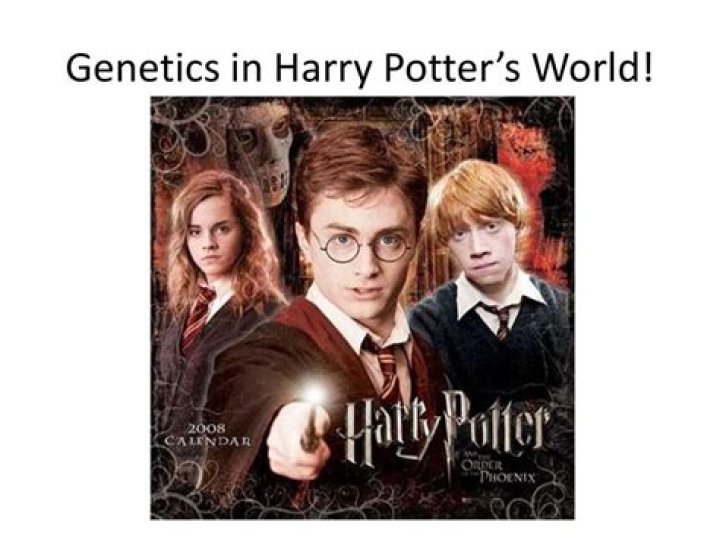 Unlock The Secrets Of Harry Potter Genetics: Discoveries And Insights Within