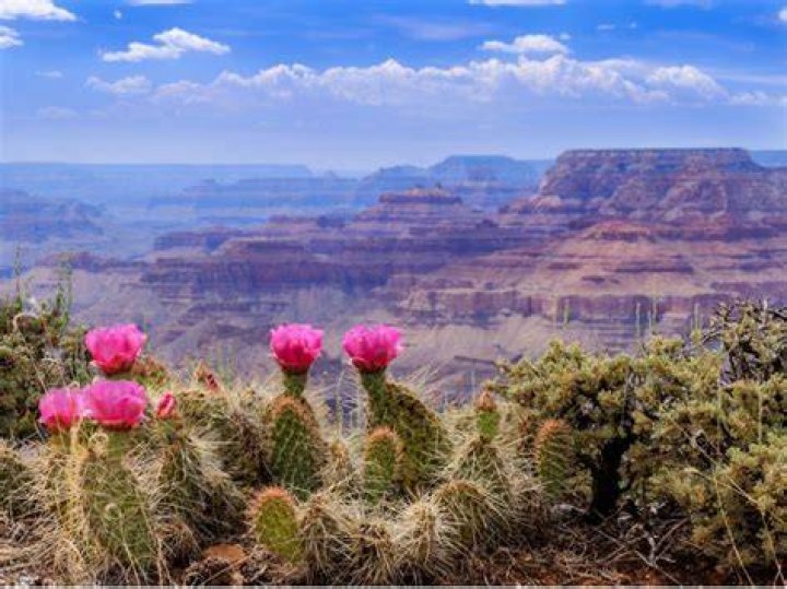 Unveiling Fertility Truths And Inspiring Perspectives